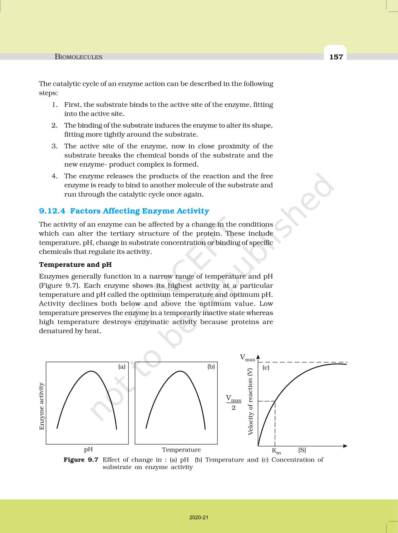 Biomolecules - NCERT Book Of Class 11 Biology